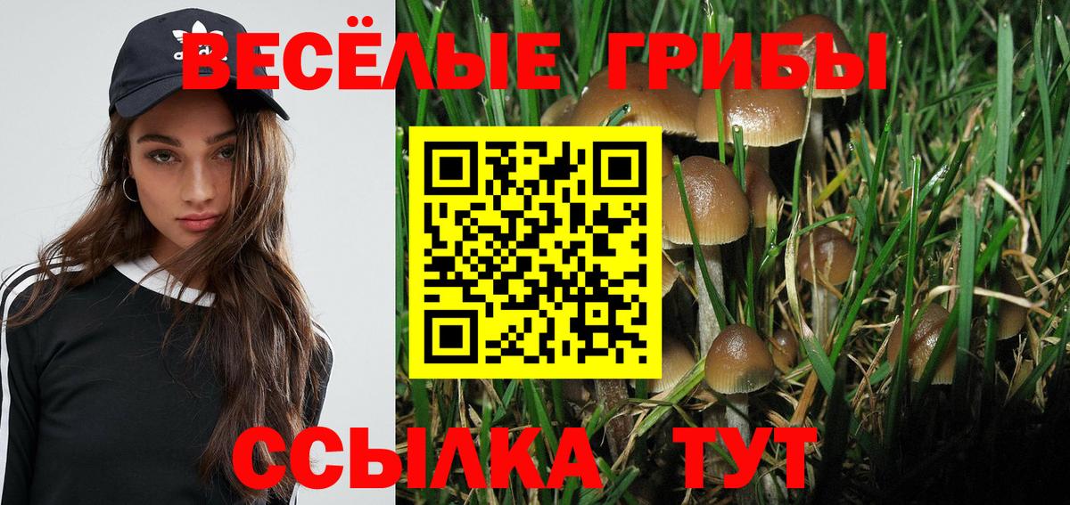 Псилоцибиновые грибы прущие грибы  Галлюциногенные грибы Psilocybine cubensis  Пенза  где купить наркоту  Вход с VPN 